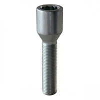Levně Speciální šrouby na kola M12x1,25x45mm s vnitřní hvězdicí, kužel